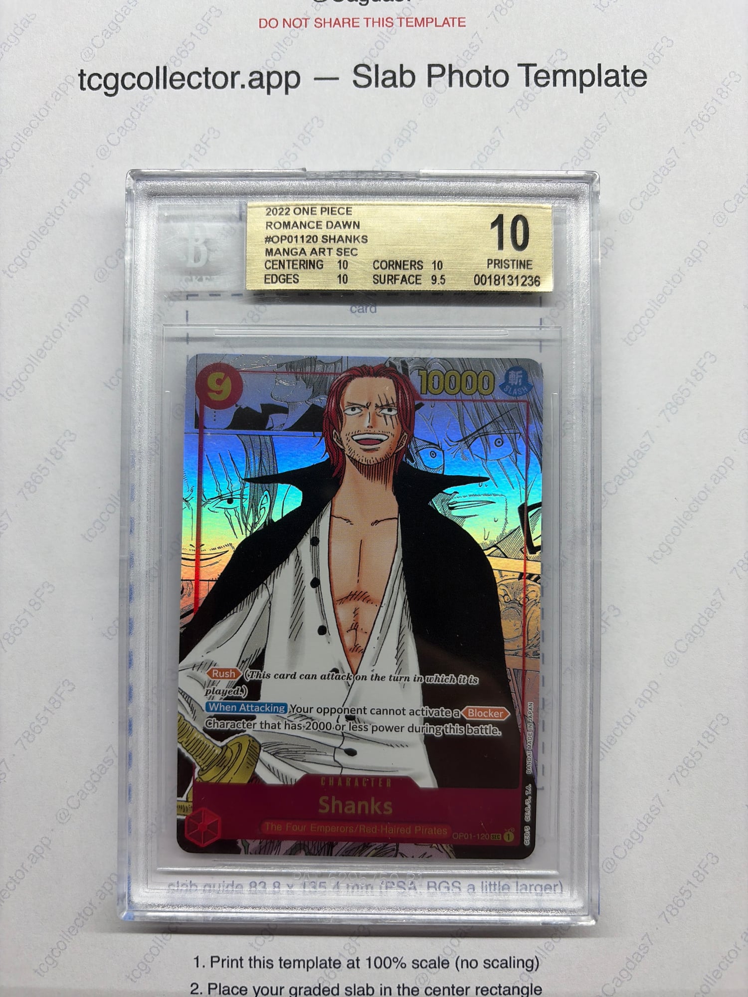 Shanks MANGA ART SEC